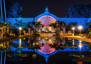 Nighttime Botanical Garden
