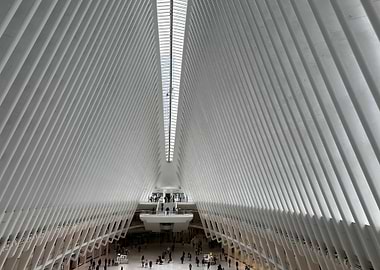 Oculus World Trade Center New York