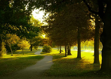 Sunlit Path in Wanaka