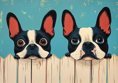French Bulldog Duo