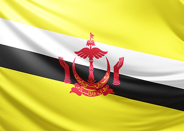 Brunei Flag, realistic flag of brunei