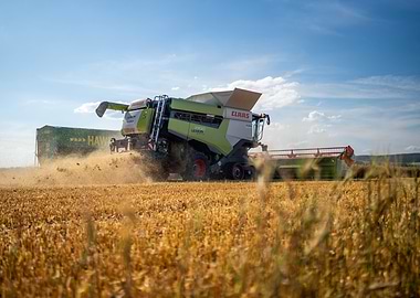Combine Harvester in Field