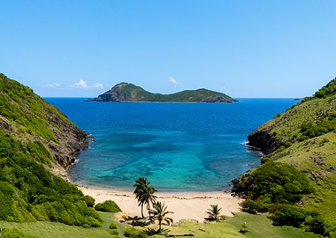 Tropical Island Cove