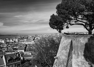 Lisbon Cityscape From Above
