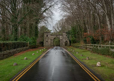 Tollymore Forest Park