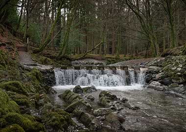 Tollymore Forest Waterfall