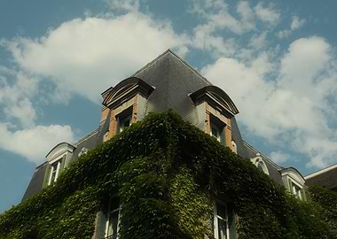 Paris (Covered Green)