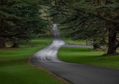 Tollymore Forest Park