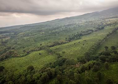 Aerial View of Lush Green Hills