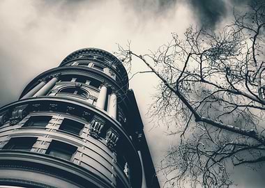 Old Building and Tree