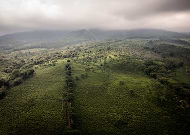 Aerial View of Lush Green Hills