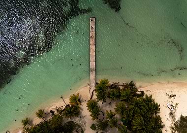 Aerial View of Tropical Beach