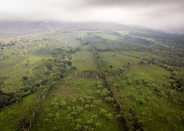 Aerial View of Lush Green Hills