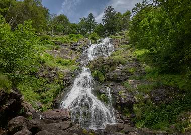 Waterfall in Lush Forest