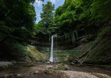 Waterfall in Lush Forest