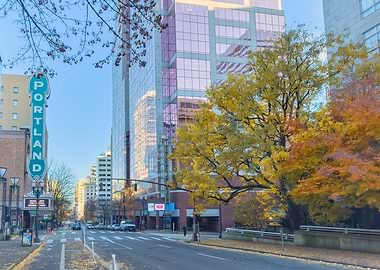 Portland Cityscape
