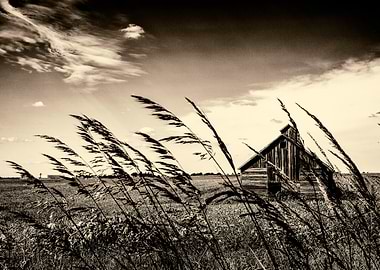 Lone Barn