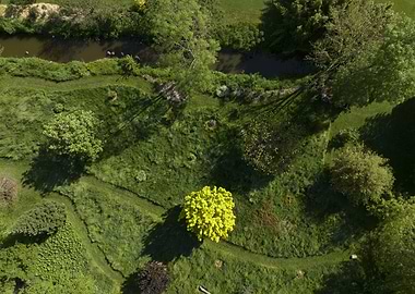 Aerial View of Lush Garden