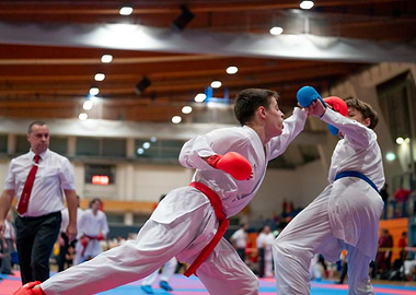 Karate Match Action