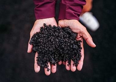 Volcanic Rock in Hands