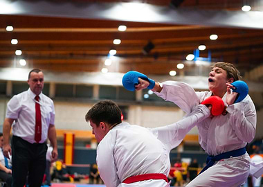 Karate Match Action