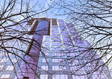 Modern Building Through Branches