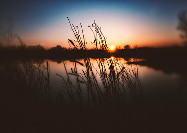 Iowa Wetland Sunset