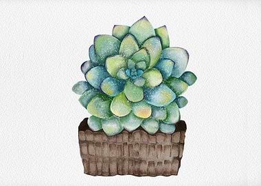 Watercolor Succulent