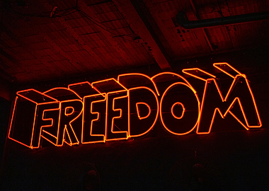 Neon Freedom Sign