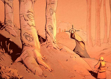 A walk in the watching woods