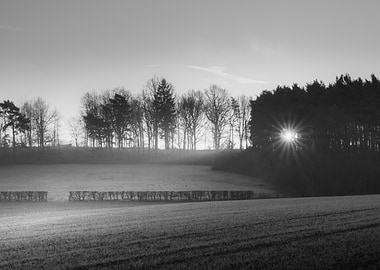 Misty Morning Sunrise