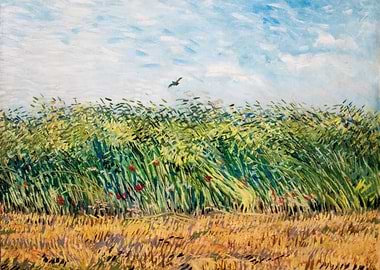 Wheat Field with Crows