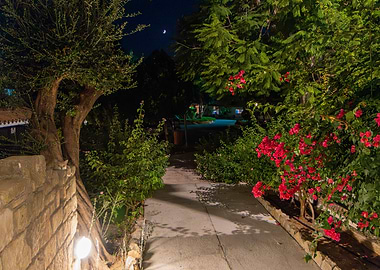 Nighttime Garden Path