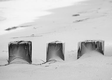 Wooden Posts on Beach