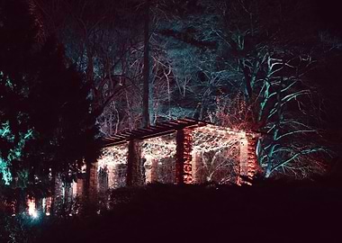 Nighttime Garden Lights