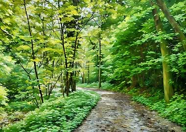 Forest Path in Orobic Alps