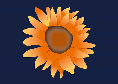 Orange Sunflower on Blue