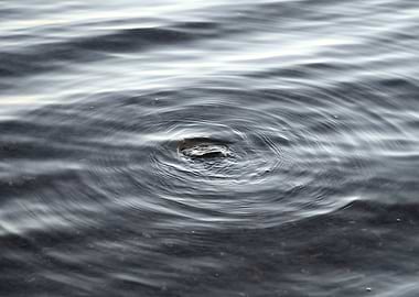 Water Ripples