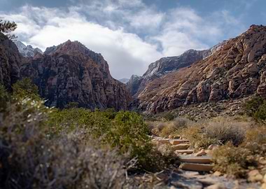 Mountain Trail Landscape