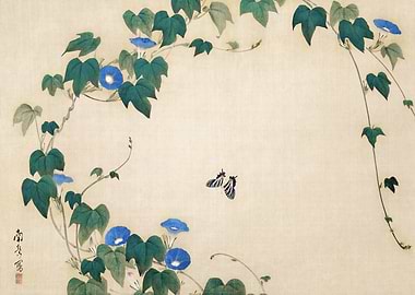 Morning Glory and Butterflies