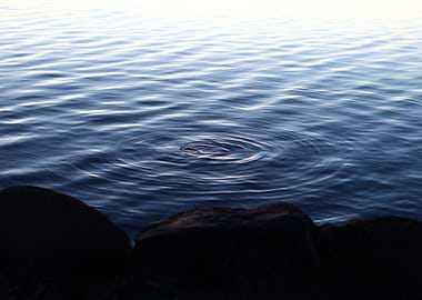 Ripples on Calm Water