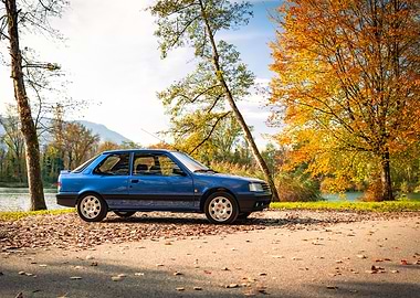 Blue Peugeot 309 in Autumn