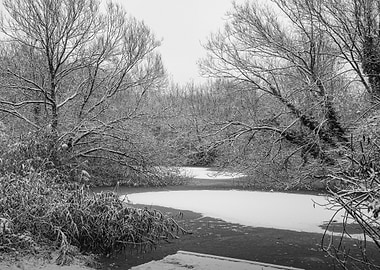 Snowy Winter Pond