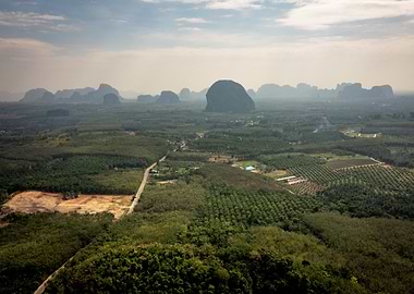 Mountainous Landscape with Palm Trees