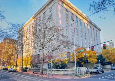 Urban Building with Autumn Trees