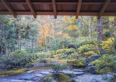 Japanese Garden View