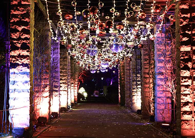 Illuminated Garden Pathway