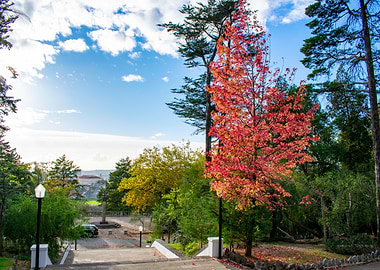 Autumnal Park Pathway