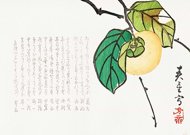 Japanese Persimmon Painting