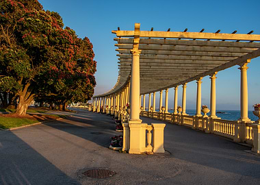 Coastal Colonnade